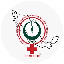 Federación Mexicana de Colegios de Obstetricia y Ginecología A.C.