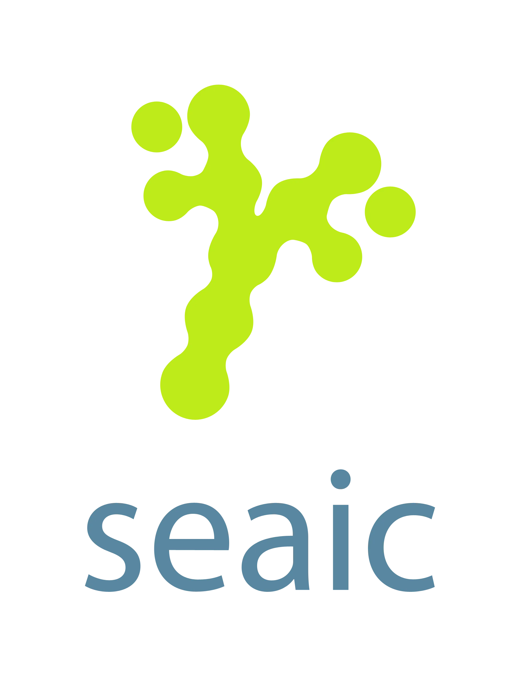 Logo Sociedad Española de Alergología e Inmunología Clínica (SEAIC) 1